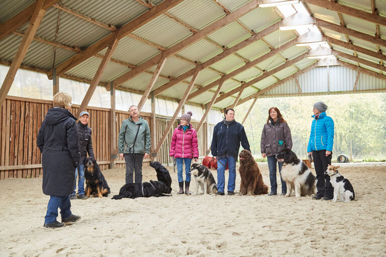 hundeschulhof janssen