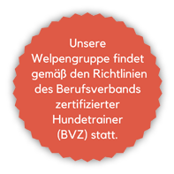welpengruppe zertifiziert bvz web